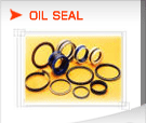 Oil Seal